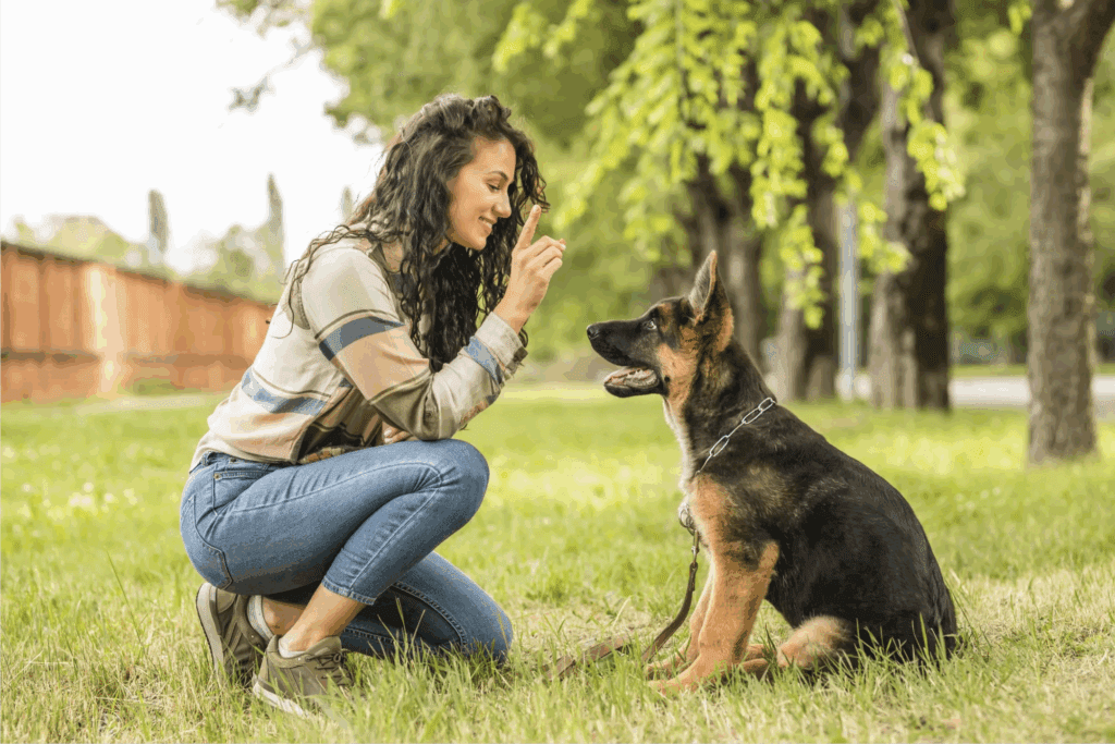 A woman teaching her dog the sit command